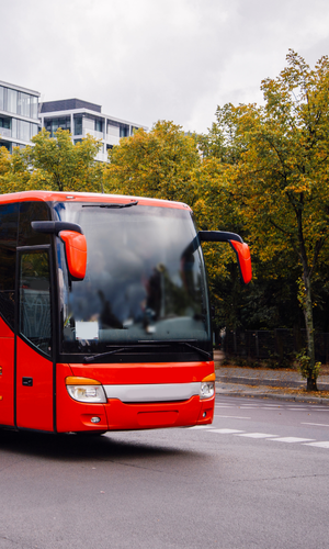 bus